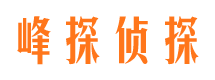 浠水侦探